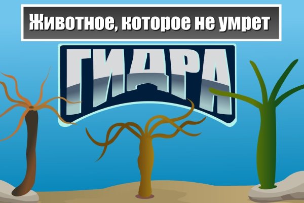 Замена hydra