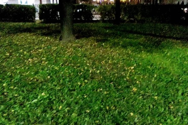 Даркнет официальный сайт вход