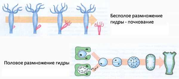 Как зайти в кракен